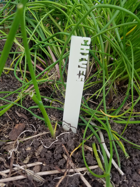Garden Markers for vegetables and herbs